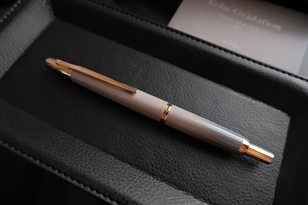 限定 海岸ストーングレー ゴールド キャップレス PILOT 万年筆