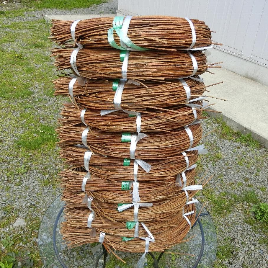 mk　青森県岩木山採取　あけび蔓　150cm～　10kg