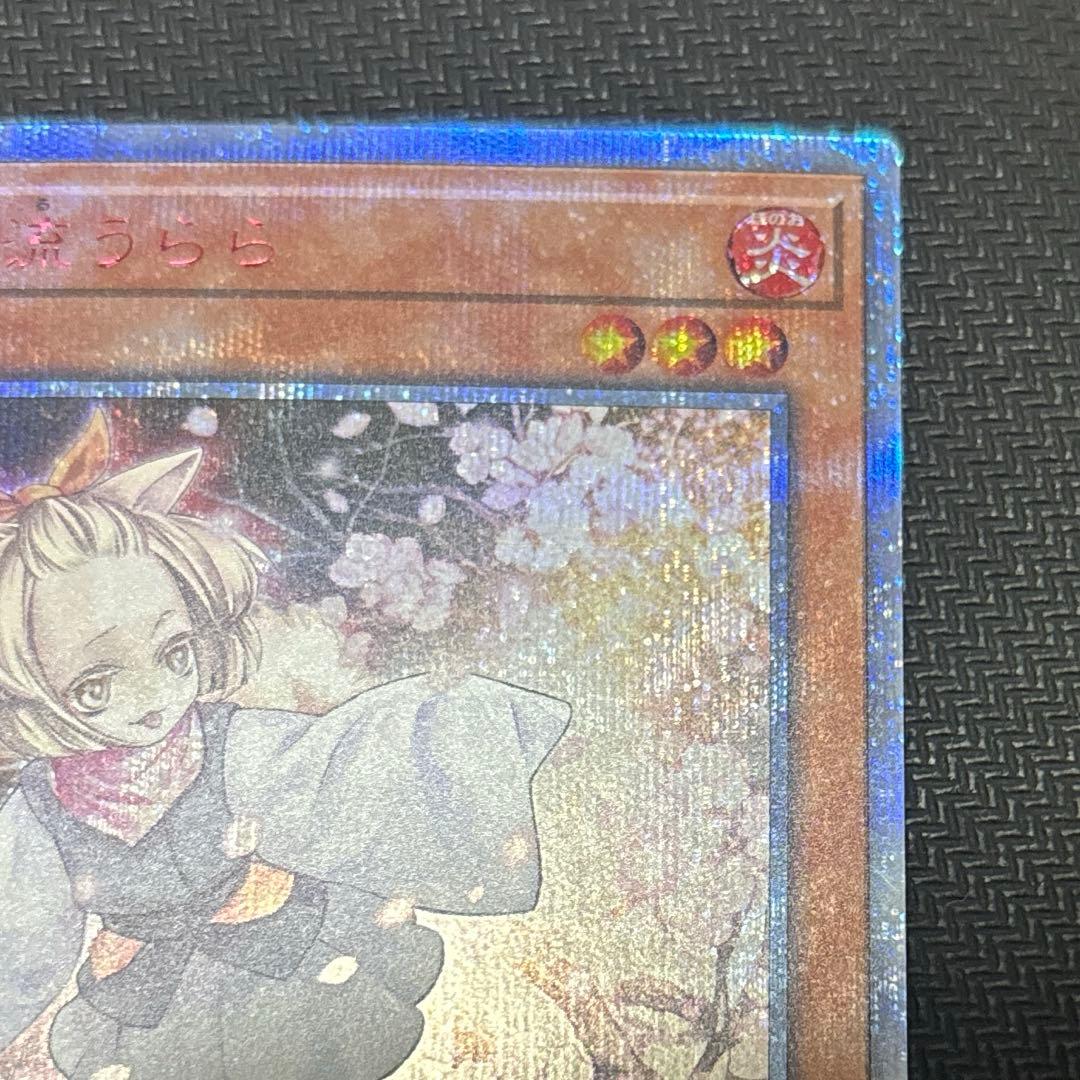 遊戯王　灰流うらら　20thシークレット