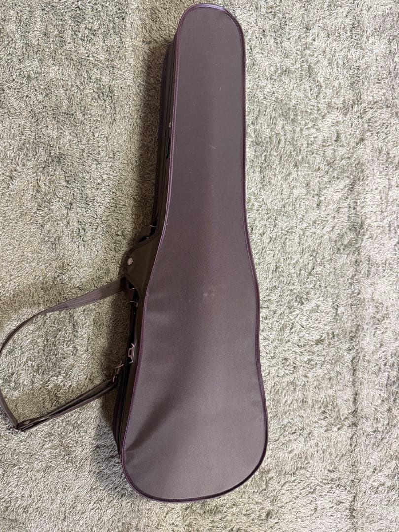 L*N様 バイオリンとブラウンケースNo.200 (2010年製).