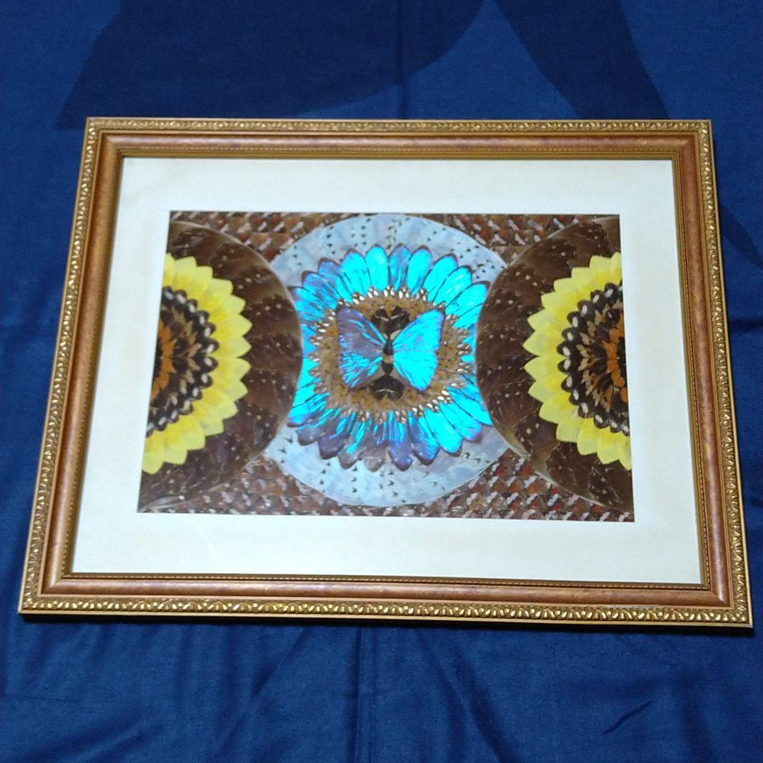 モルフォ蝶の羽アート絵