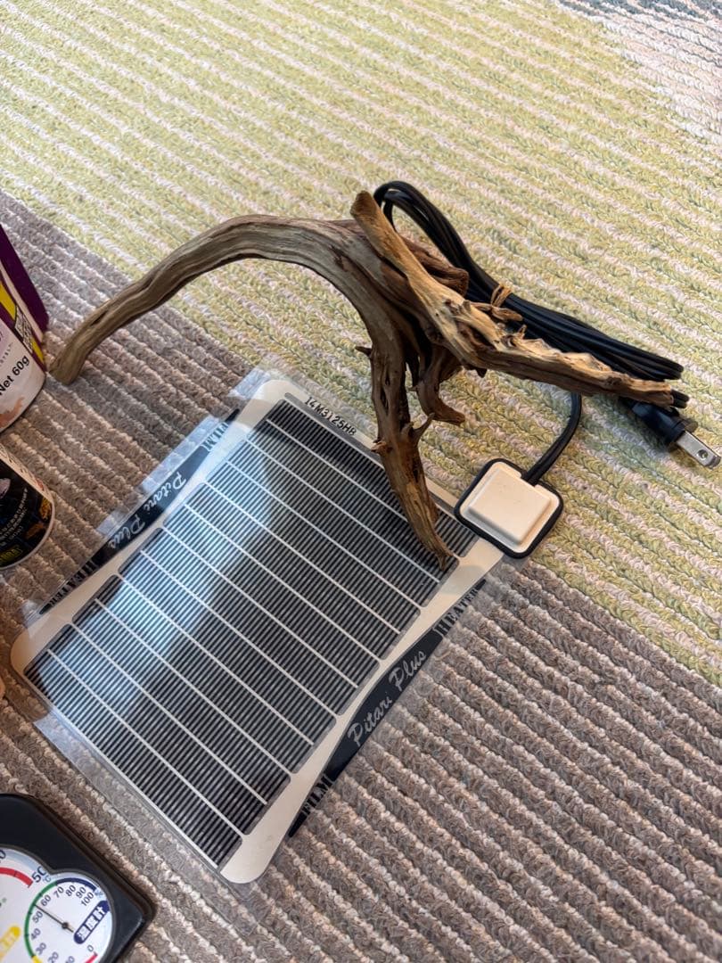 GEX EXOTERRA グラステラリウム3030 飼育ゲージ ガラスケース