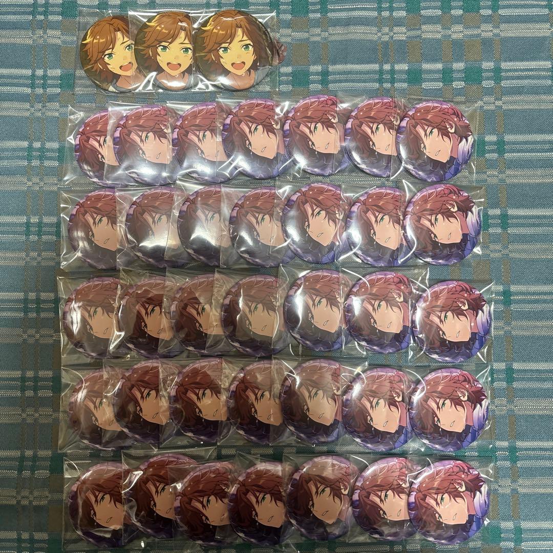 テーマスカウト缶バッジ 2023 autumn 三毛縞 斑