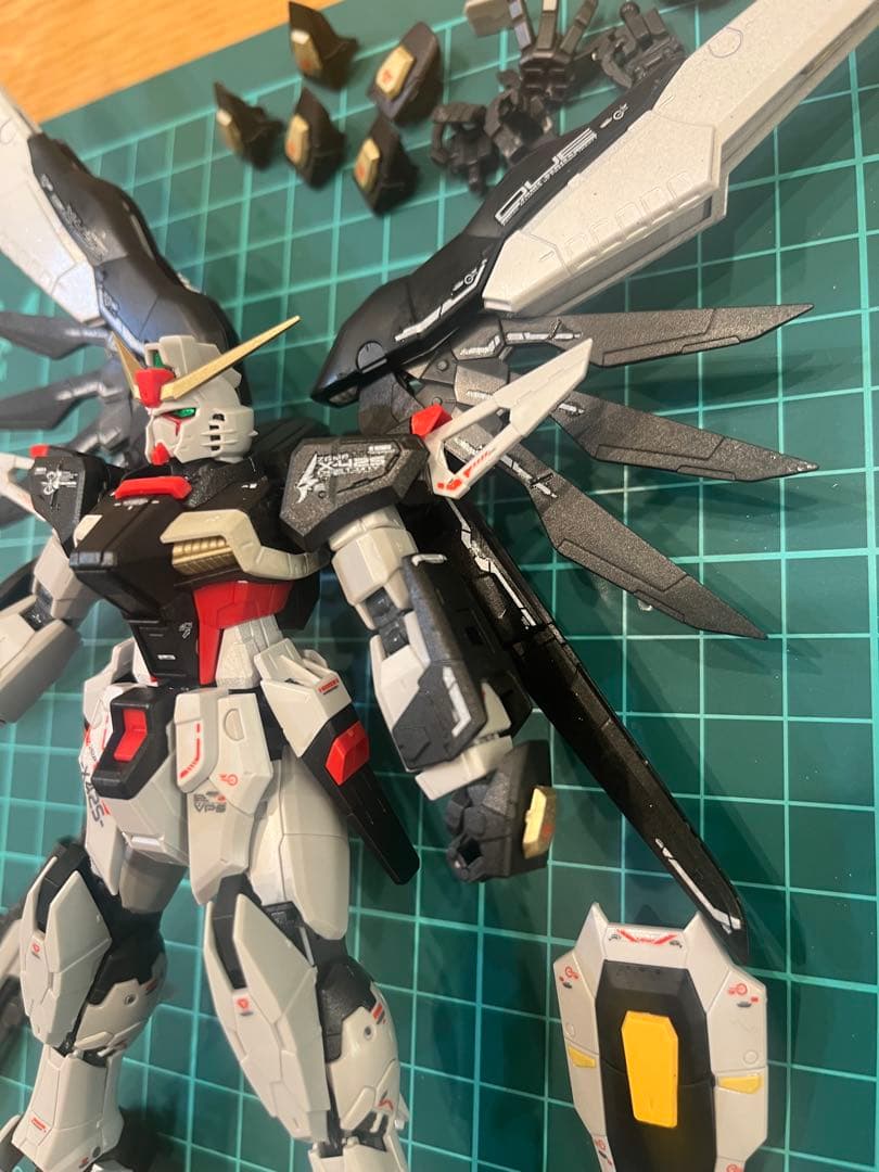 RG デスティニーガンダム全塗装完成品
