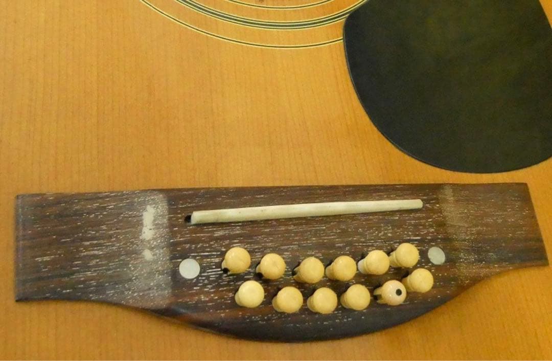 Greco W-160 アコースティックギター ギターケース