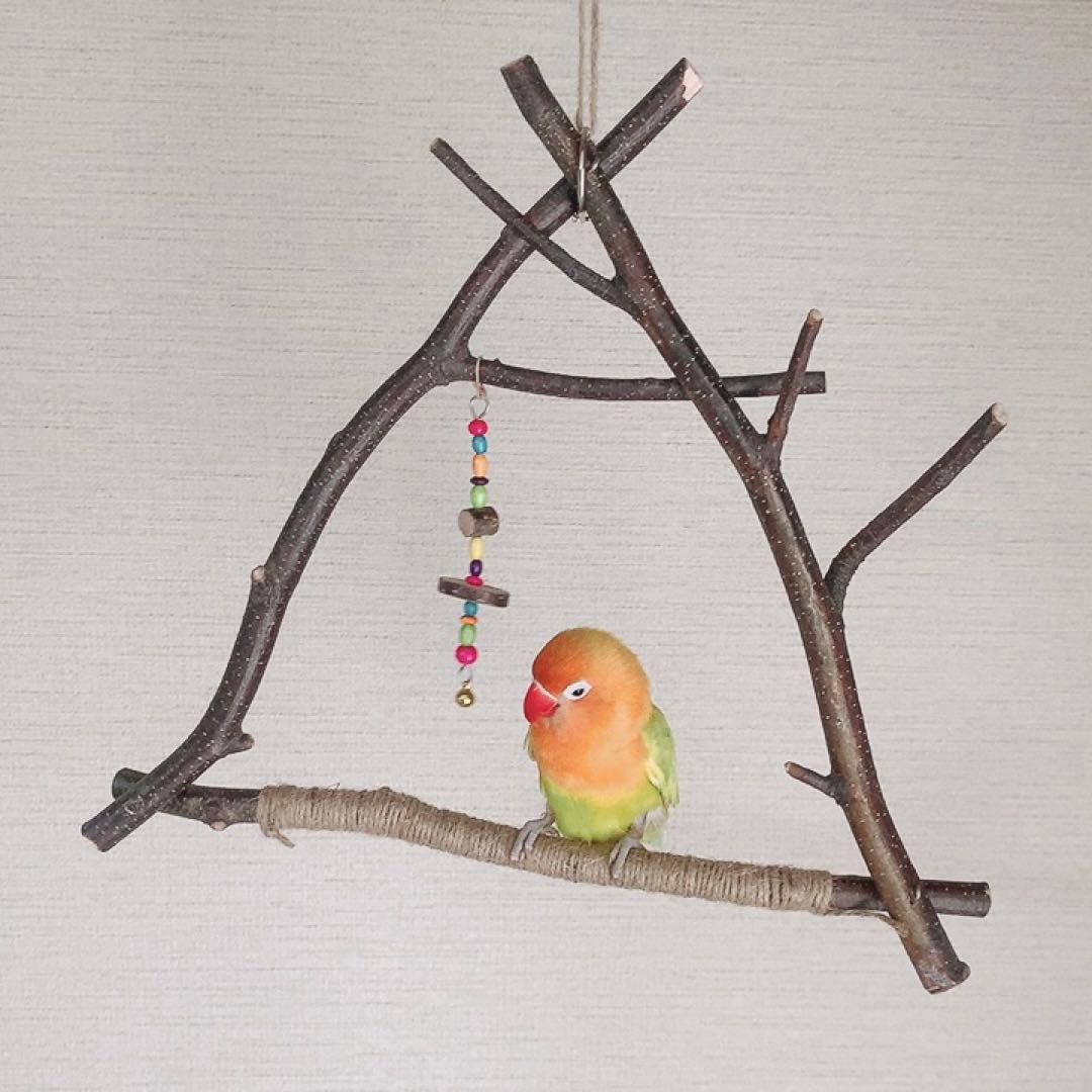 白樺小枝のブランコ♪