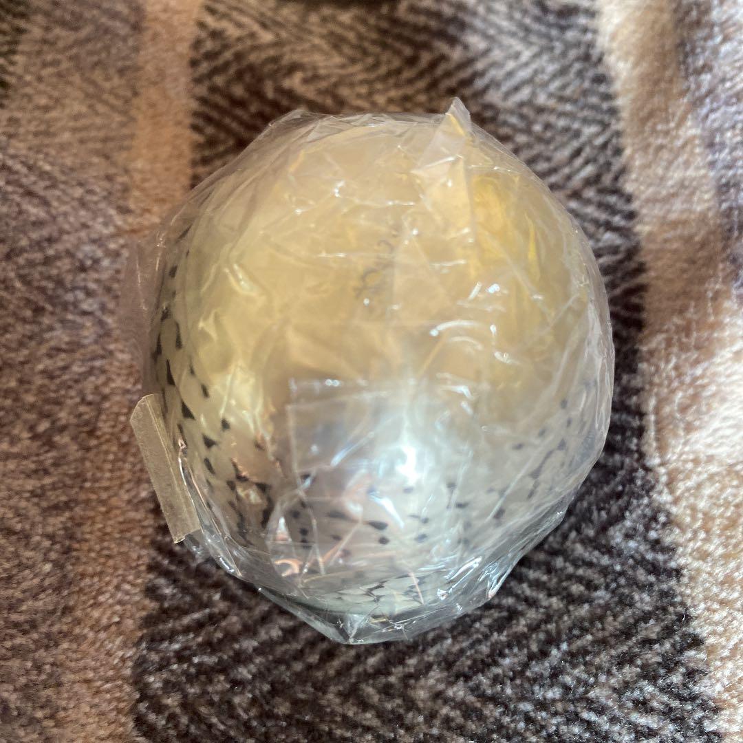 E4系 MAX とき ラストラン記念  ぐい呑み 【白銀杯】