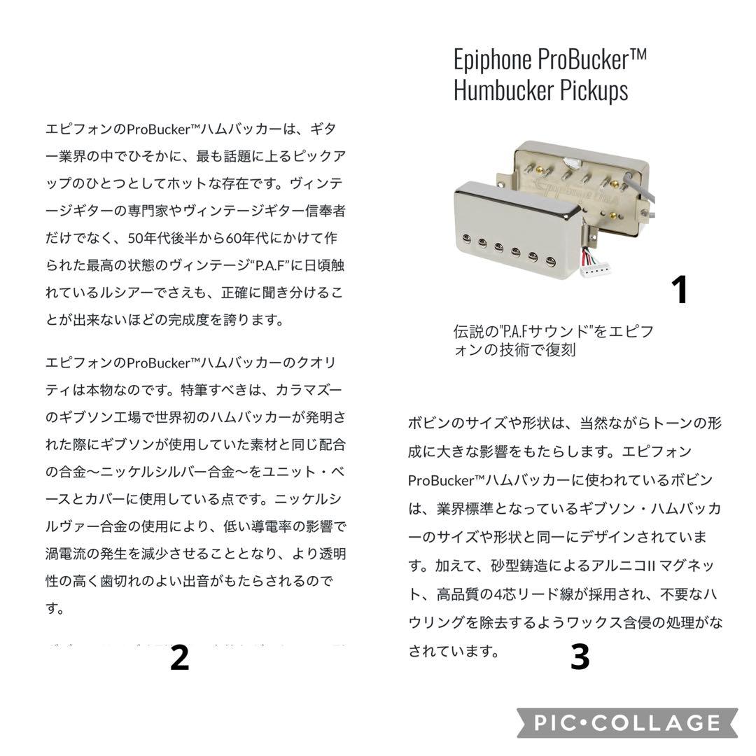 【中古・極美品】Bacchas BLP-BP/R BL-Bフルカスタム