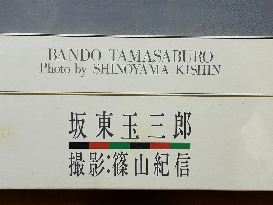 パズル 坂東玉三郎 x篠山紀信 1000ピース