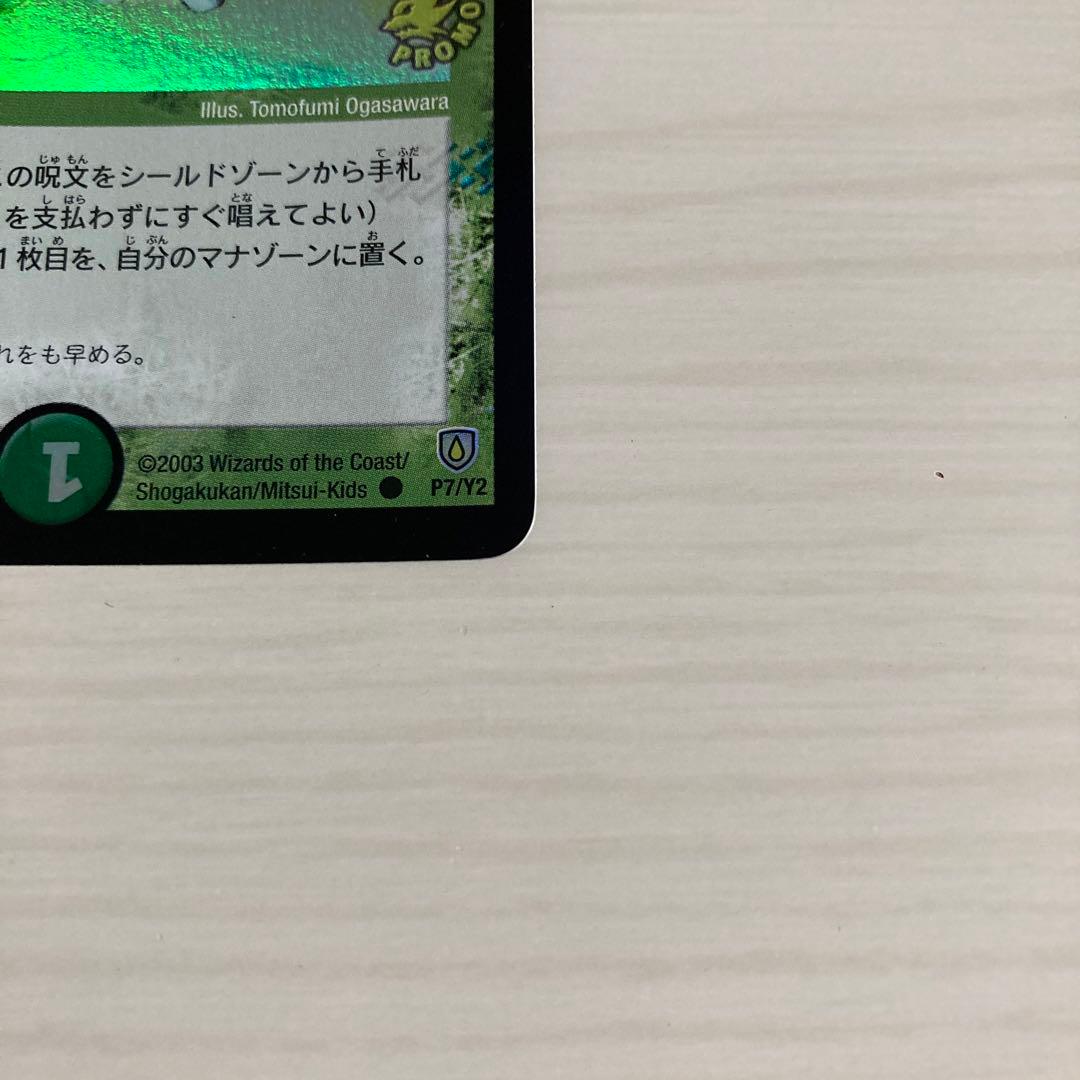 メルカリ便 フェアリー・ライフ フェアリーライフ 初期 ホイル プロモ