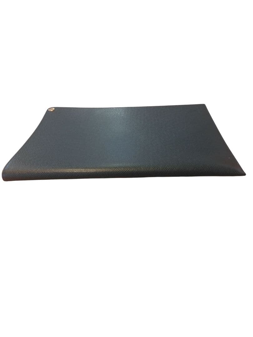 【極美品】ルイヴィトン　タイガエピセアドキュメントケース　ファイルケース　書類