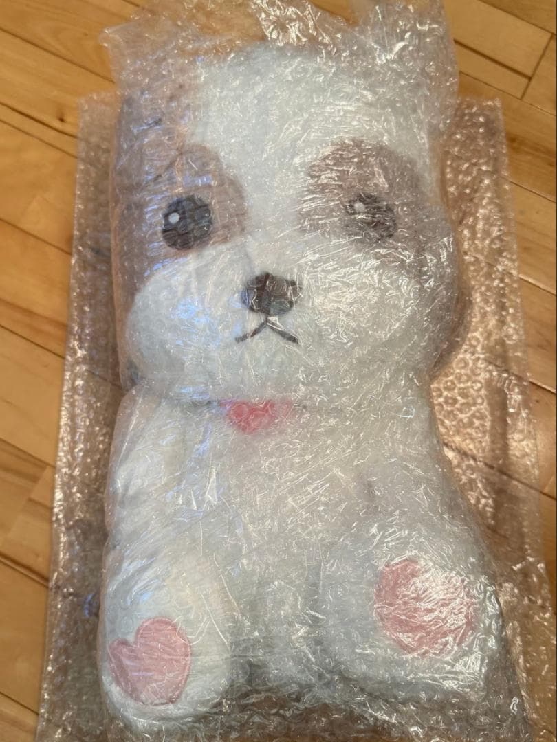 チャニョル City-scape 40CM DOLL ZZAR