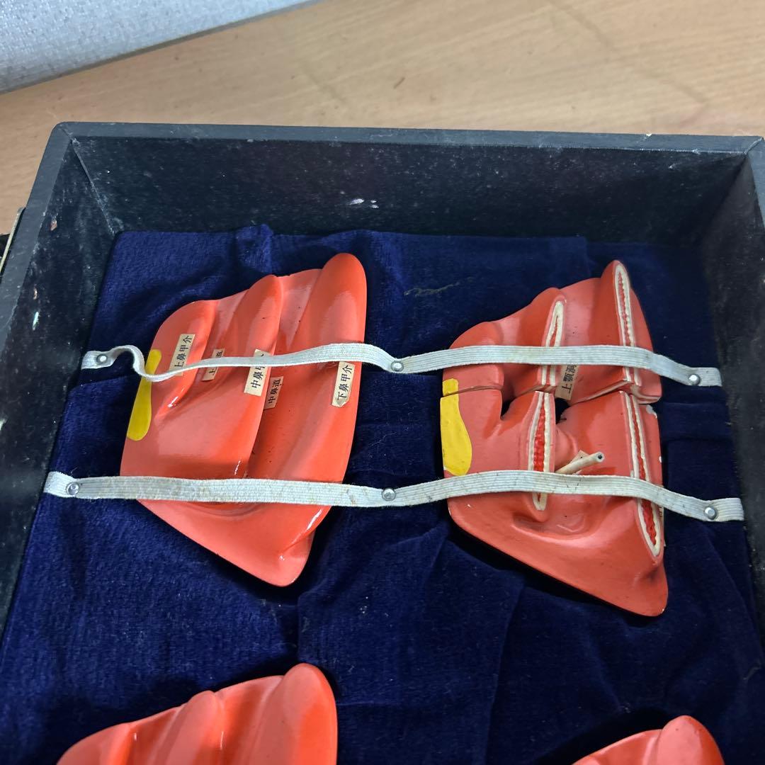 超レア　鼻腔系模型