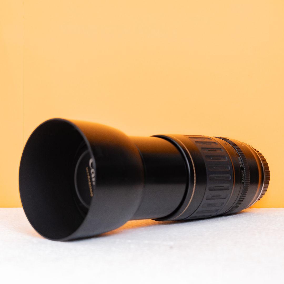 スポーツ/イベント/望遠レンズ/キヤノンCanon EF 70-300mm