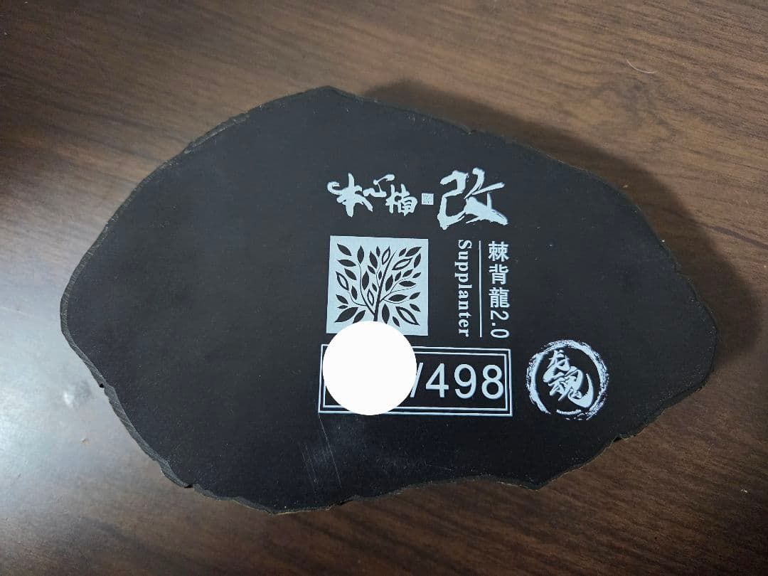 Nanmu 本心楠改　スピノサウルス