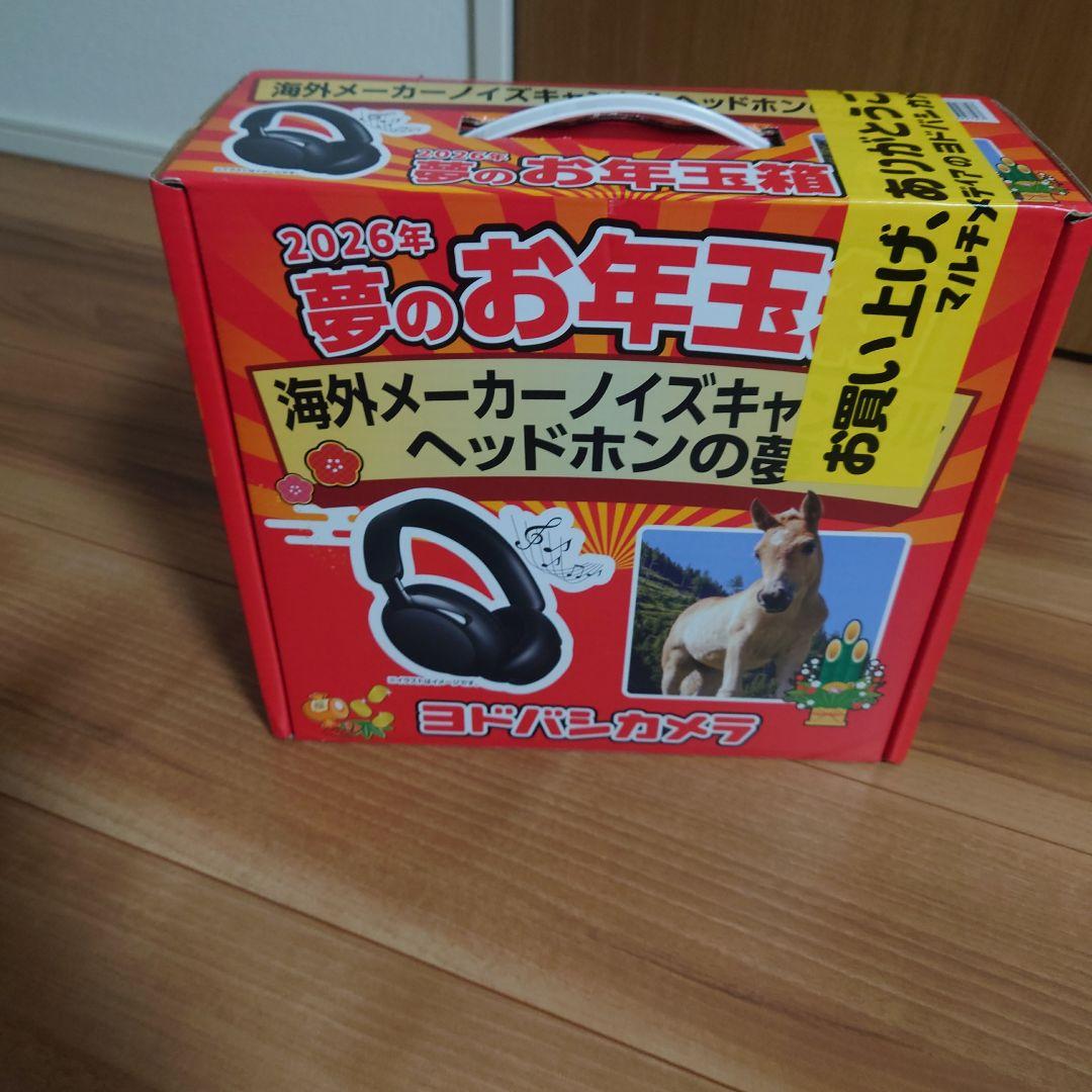 海外メーカーノイズキャンセルヘッドホンの夢