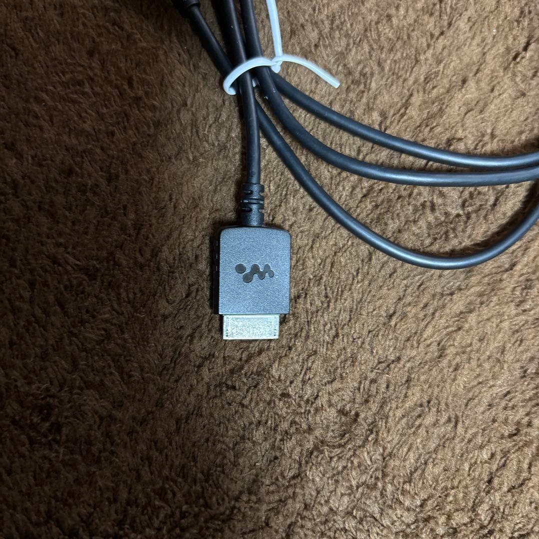 み*ゆ様 SONY NW-WM1A 128GB デジタルオーディオプレーヤー