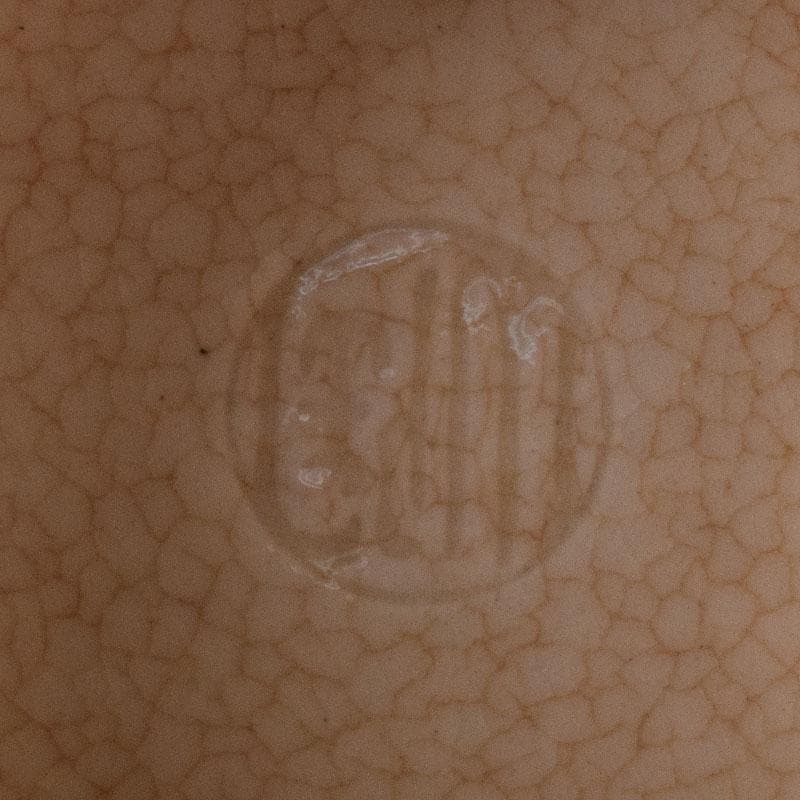 茶道具　京焼　伊東陶山造　色絵　藤模様　茶碗　共布共箱　V　R8118