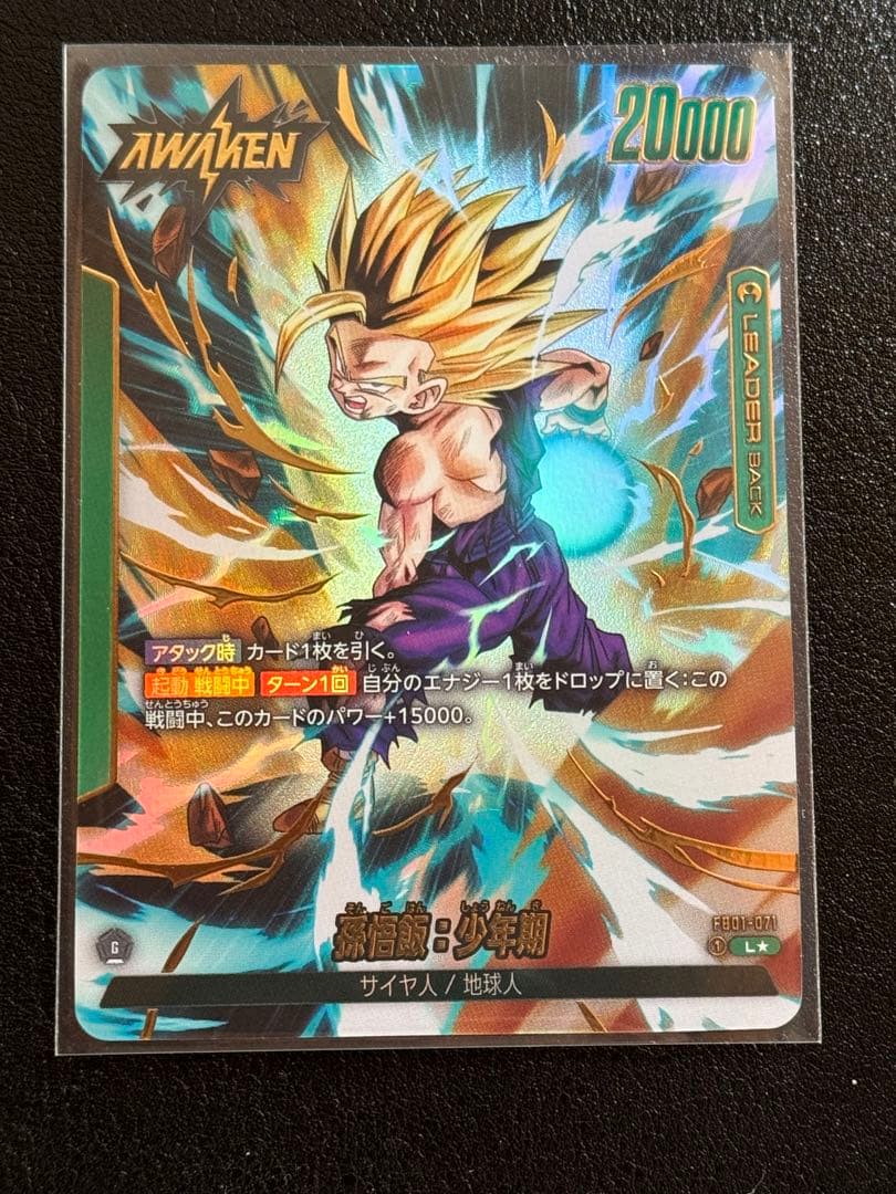 孫悟飯リーダーパラレル　　孫悟飯少年期sec