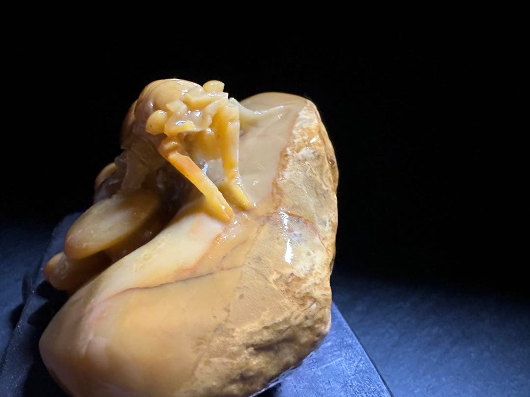 36寿山石　 田黄　蝉　置物　縁起物　手彫り　原石