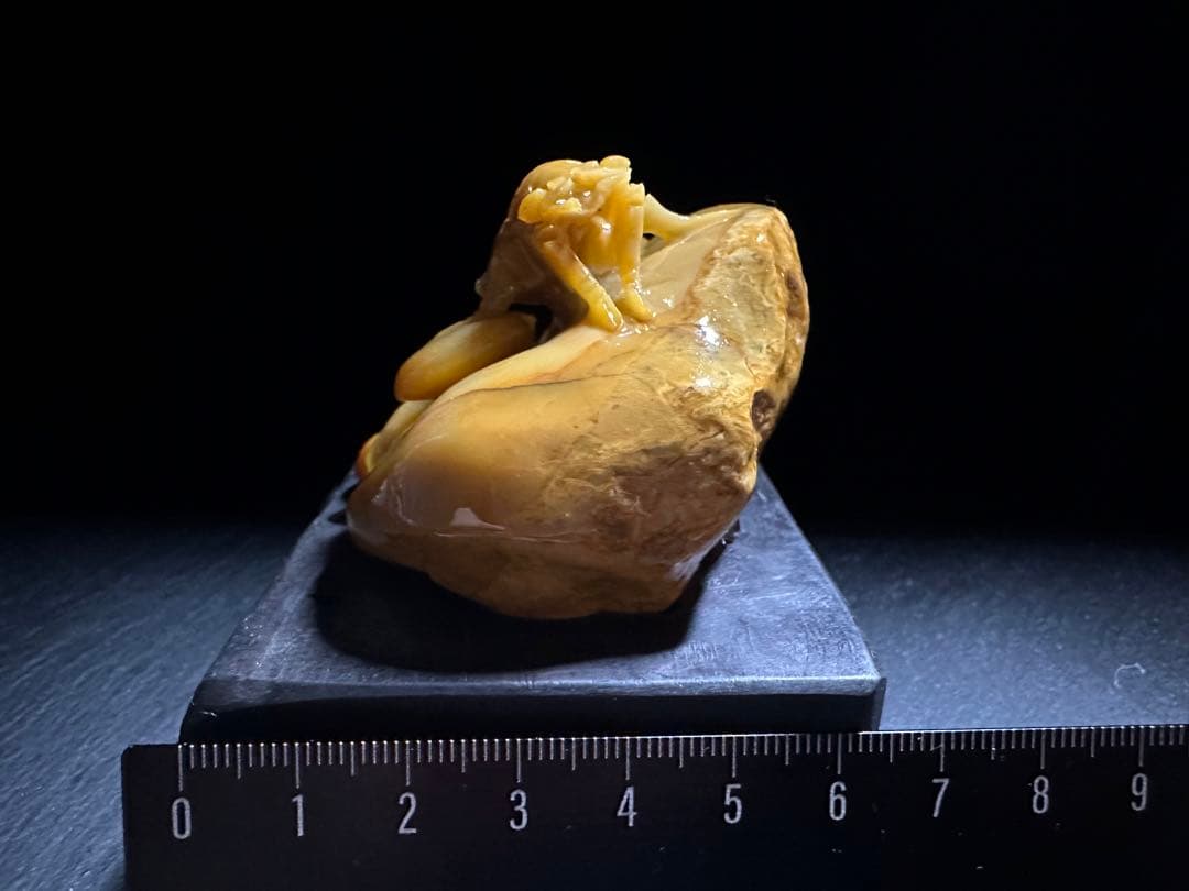 36寿山石　 田黄　蝉　置物　縁起物　手彫り　原石