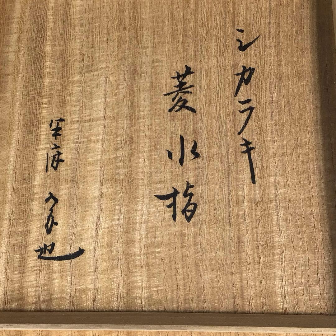 Ｎ２４４　菱水指　『信楽焼』『保庭楽入造』『久田宗也　尋牛斎　箱書』　共箱