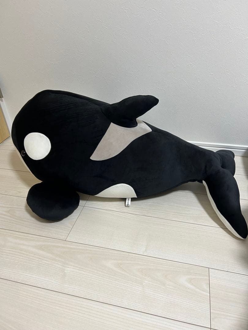 名古屋港水族館　限定　シャチ　巨大ぬいぐるみくじ特賞