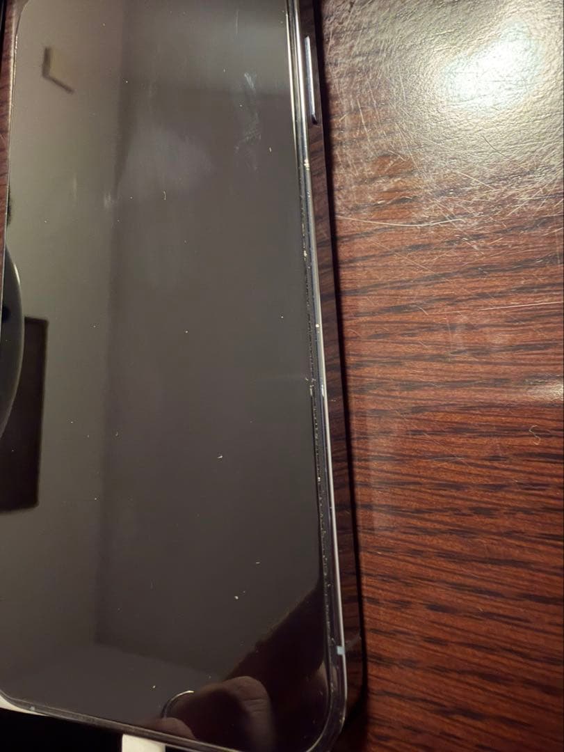 Apple iPhone 13 Pro Max 1tb シエラブルー