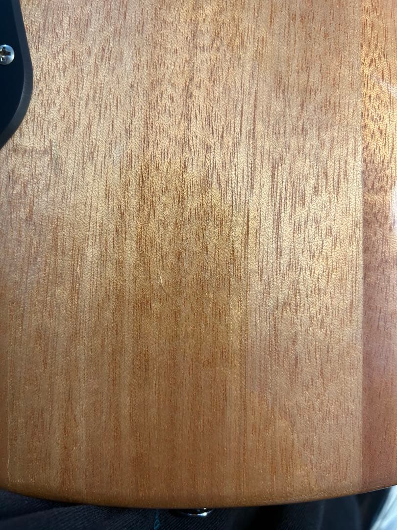 ギター Paul Reed Smith(PRS) SE ZACH MYERS