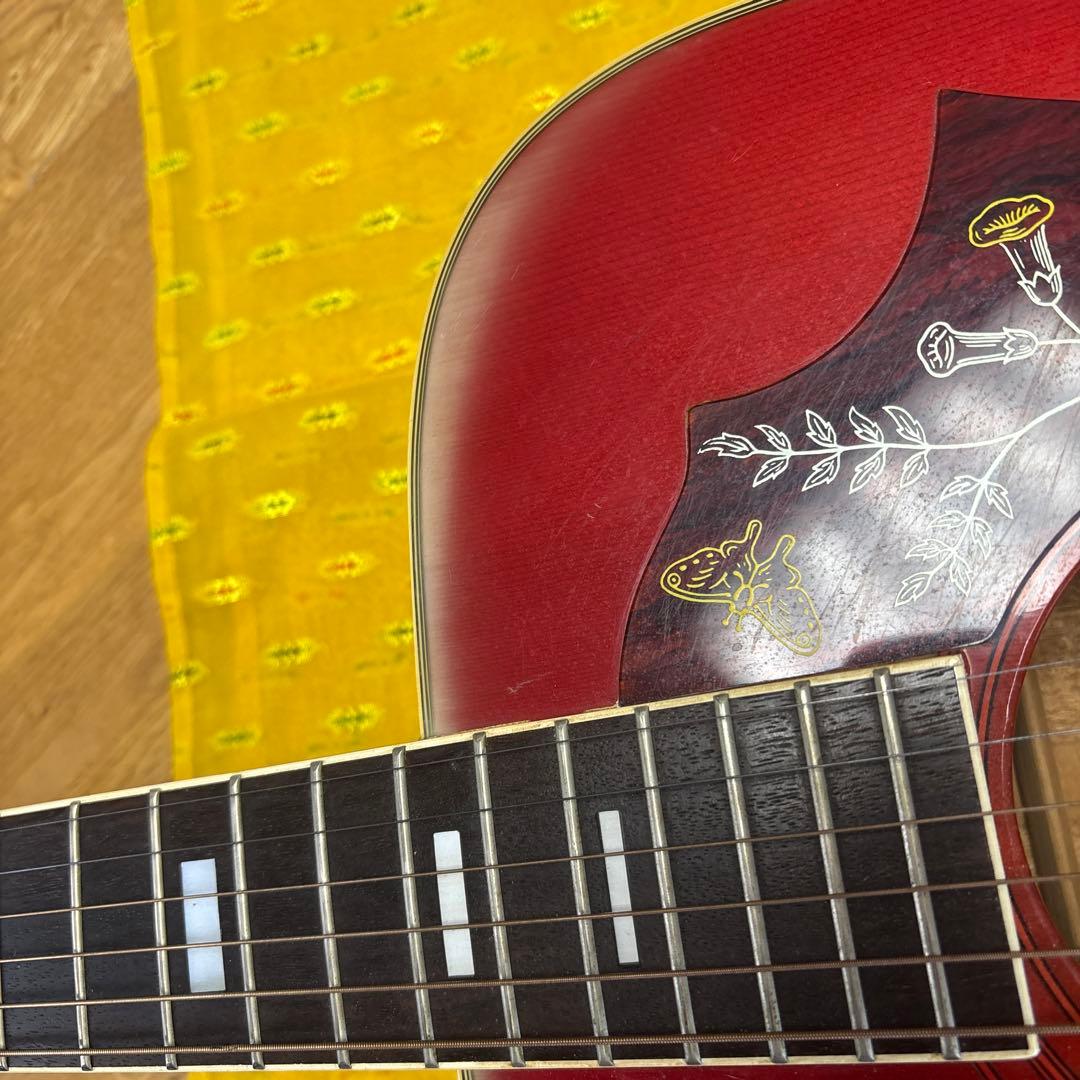 エレアコ仕様 Morris アコースティックギター