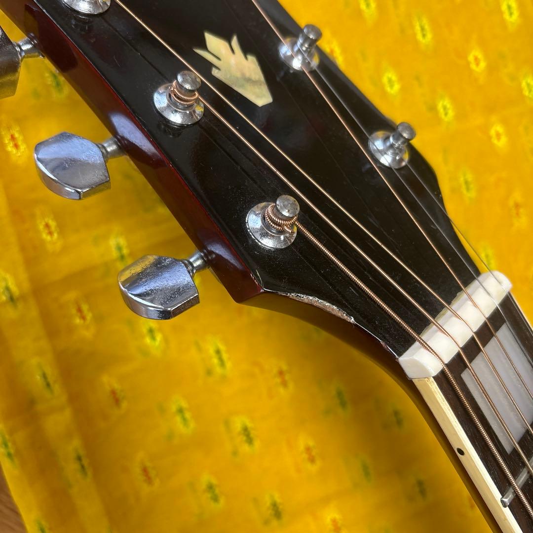 エレアコ仕様 Morris アコースティックギター