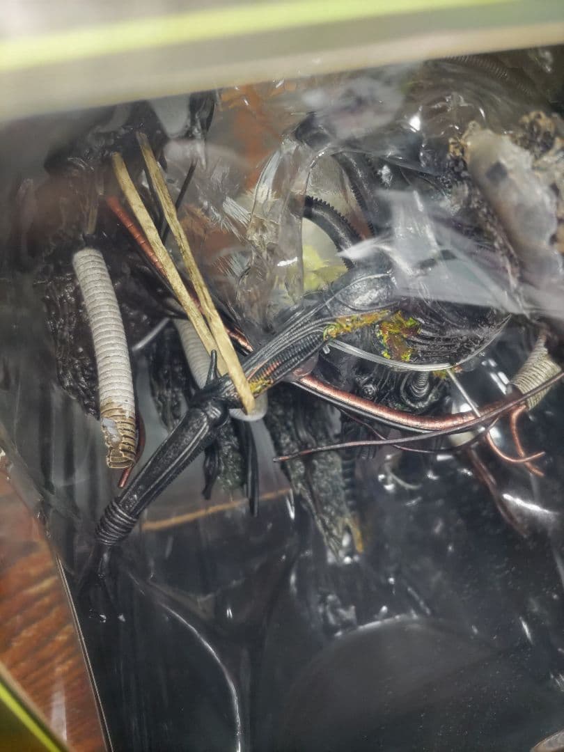 y*a様 NECA　ネカ　サスペンデッド・ラボ・ゼノモーフ　エイリアンロムルス