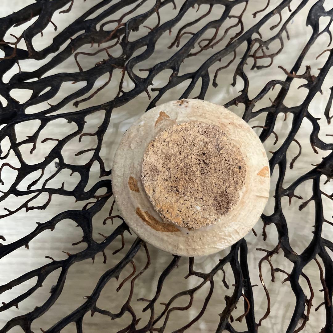 骨董　美濃焼　絵瀬戸　鉄釉　超希少！化け猫騒動　吹き墨　妖怪豆皿　小皿１客