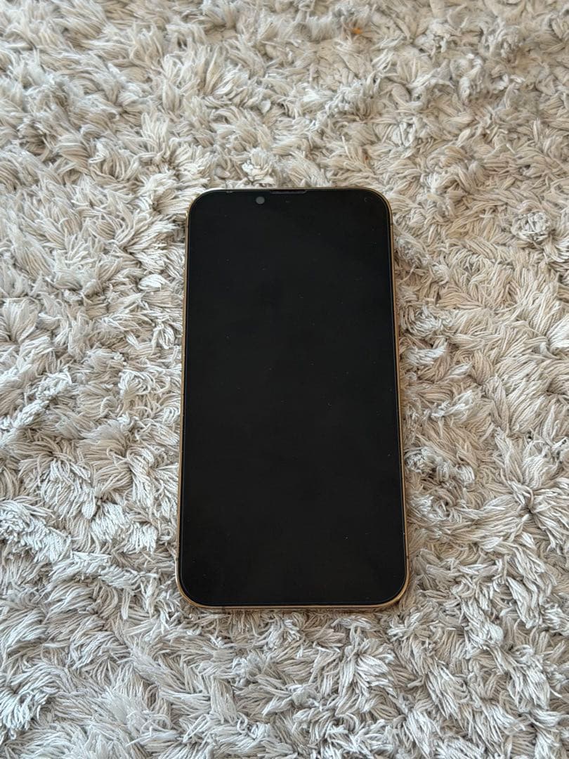 海外版シャッター音なし⭐️iPhone13pro 256GB