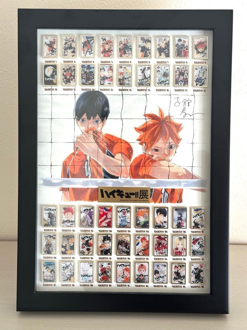 コミックス全巻ピンズセット ハイキュー