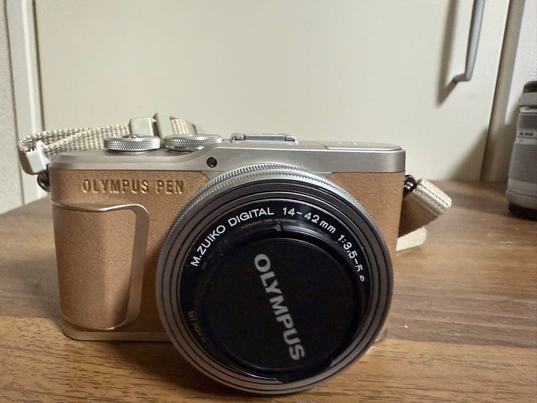 OLYMPUS PEN E-PL9 オリンパスミラーレスカメラ　望遠レンズ付き