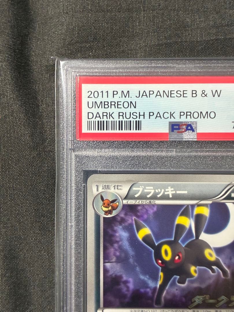 PSA10 ブラッキー ダークラッシュ プロモ 2011 115 33