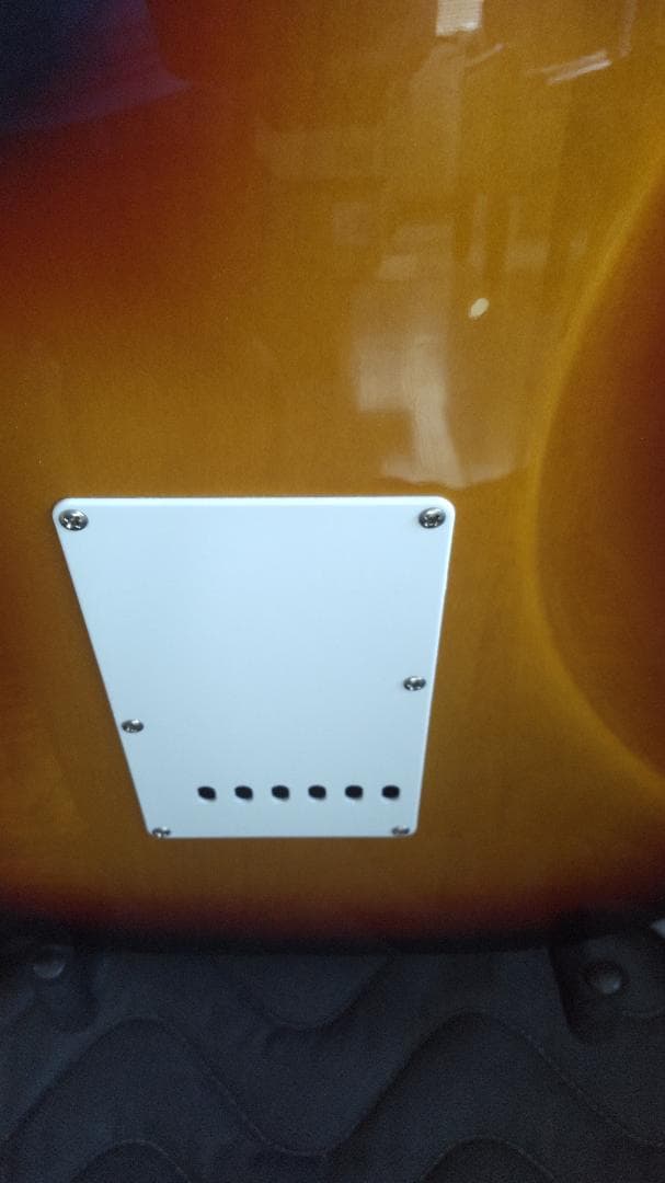 フジゲン JST-6R J-Classic バッグ付 日本製