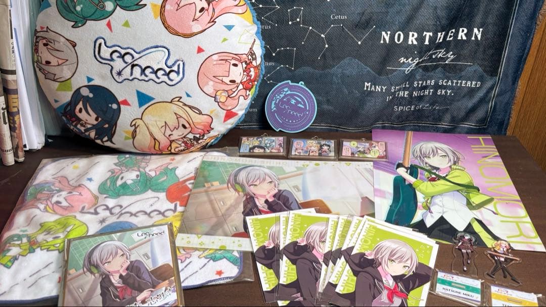 d*3様 日野森志歩 Leo/need まとめ売り