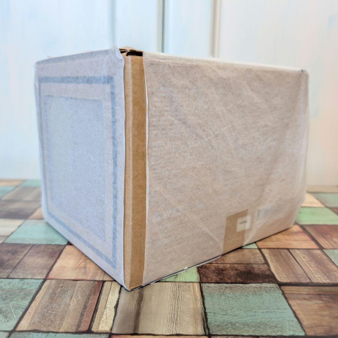 VCD スヌーピー 1953 フィギュア Medicom toy　新品　初版