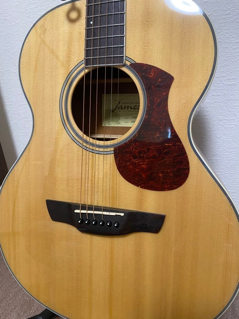 【一式6点セット】James J-300 NAT アコースティックギター