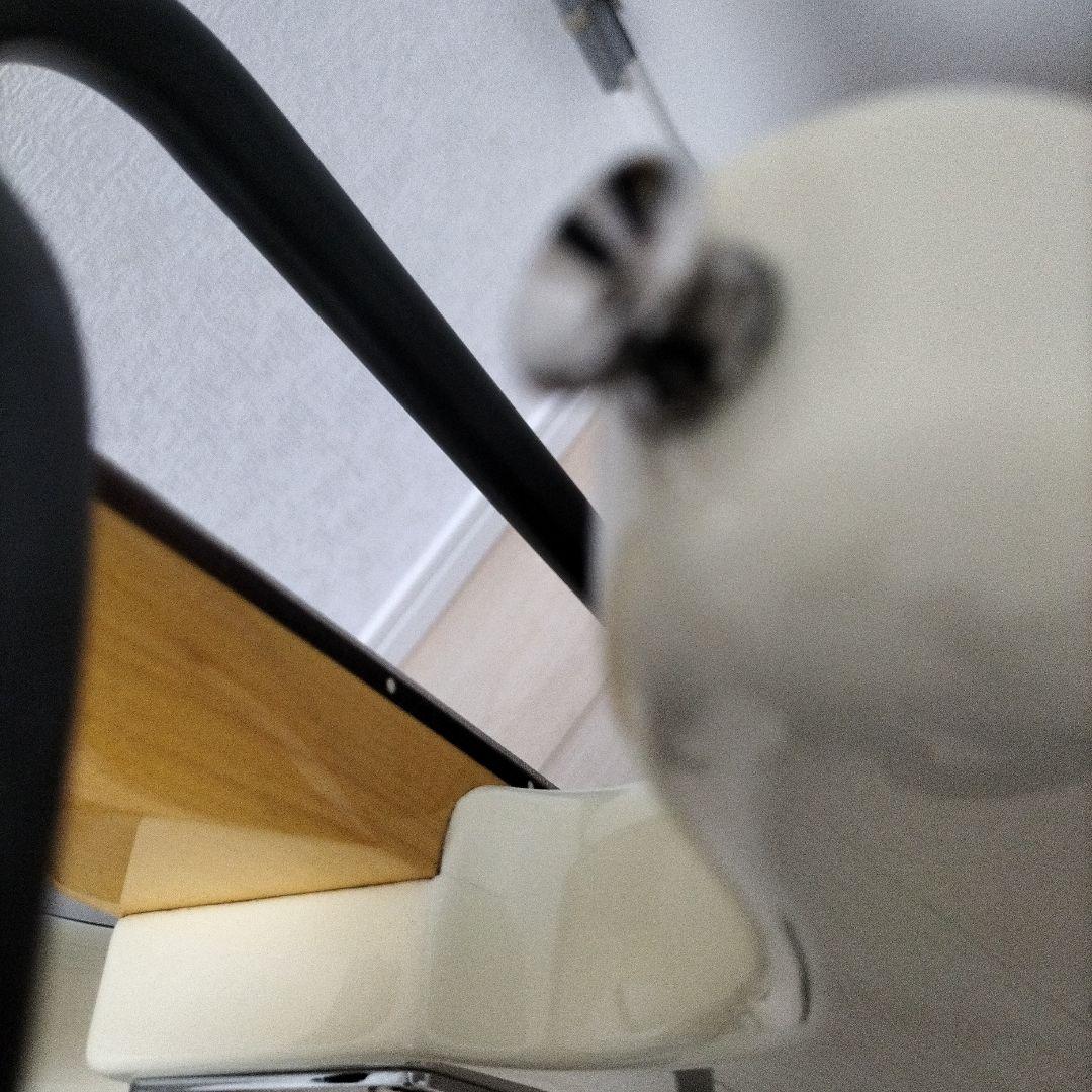 FERNANDES 　rpb-360 エレキベース　値下げ済み　送料込み