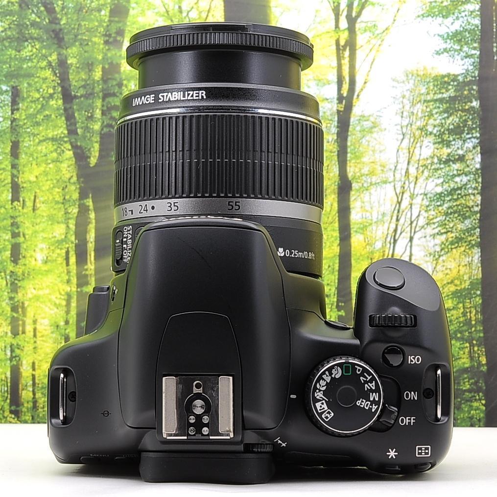 ショット数434枚！スマホ転送セット☆Canon Kiss X2 ★