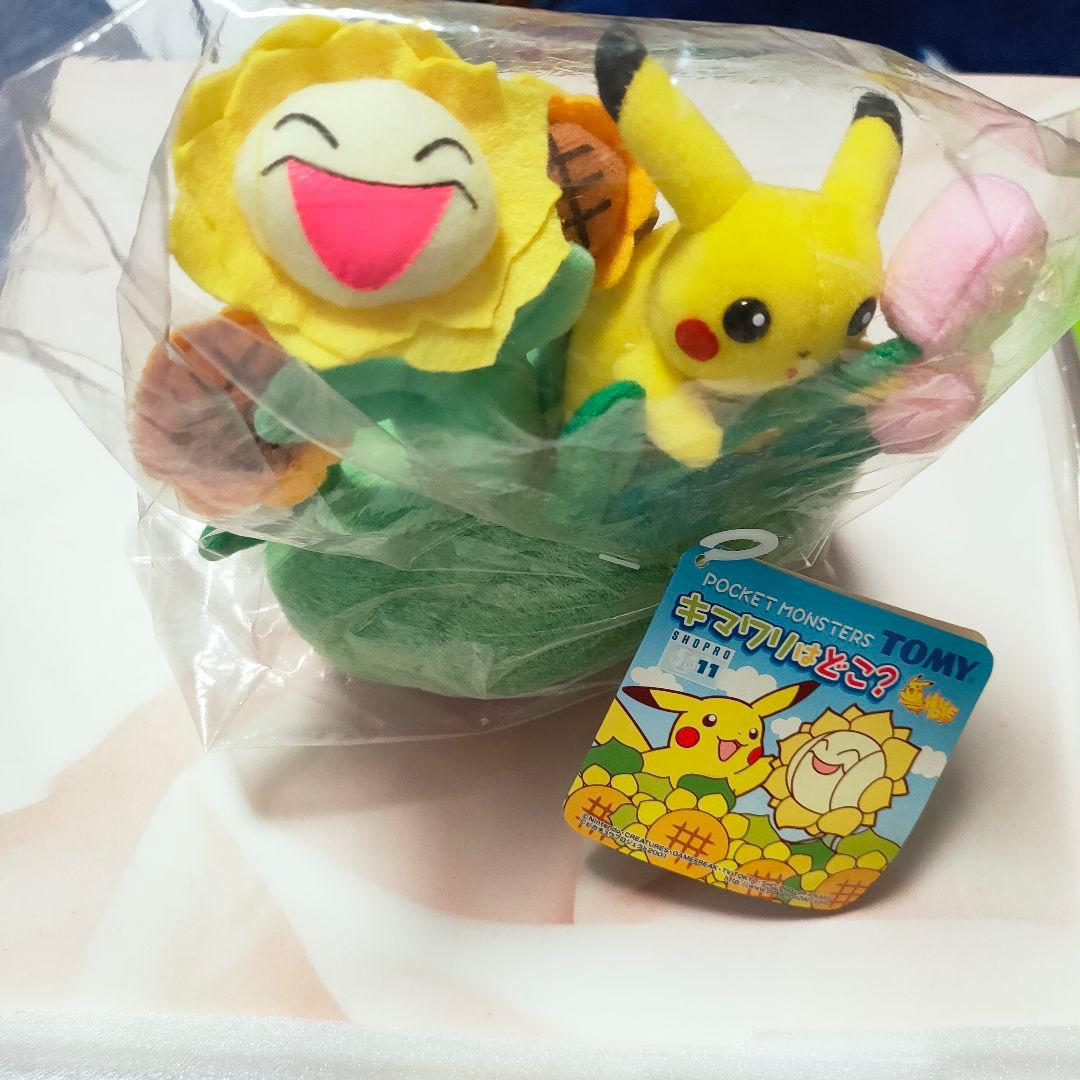 入手困難　ポケモングッズ6点セット