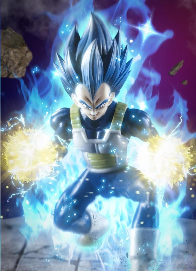 S.H.Figuarts ベジータ 同サイズ 改造ヘット 4種