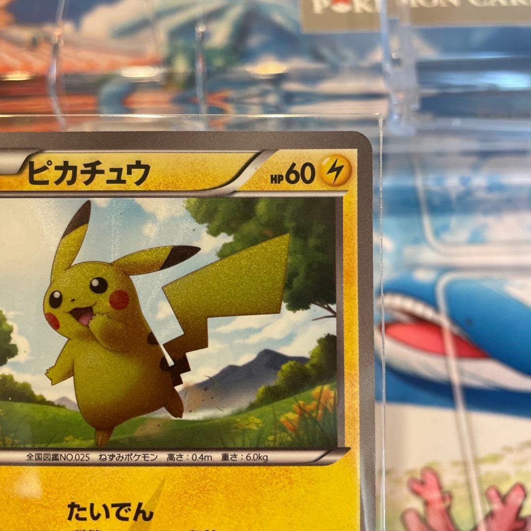 ピカチュウ UR ローダー付