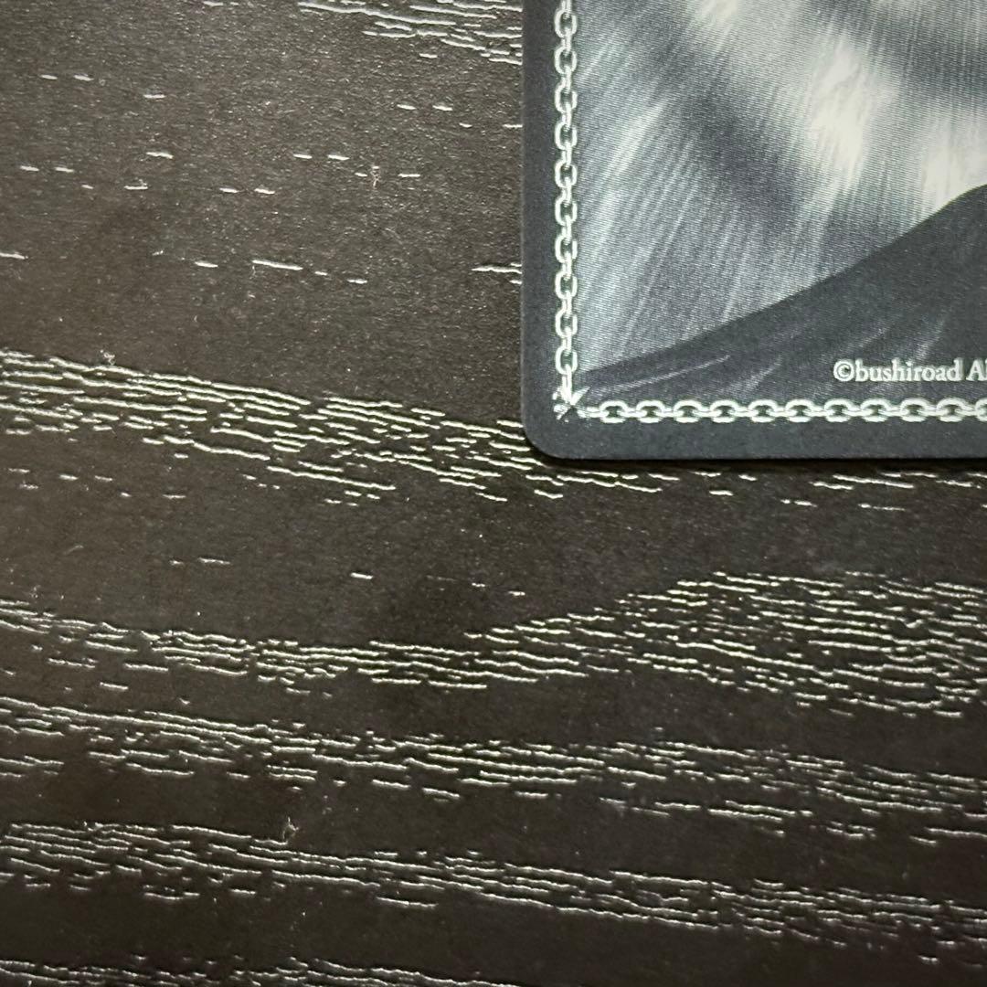 WS レーゲンスブルク SP サイン