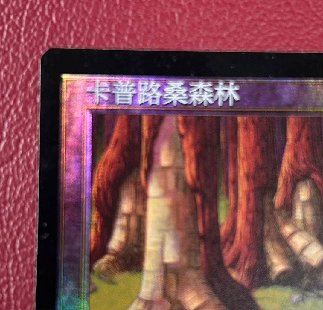 希少　中国語　Foil　カープルーザンの森　1枚