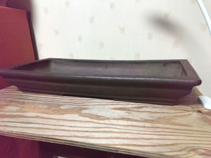 1404 盆栽　盆栽鉢　植木鉢　中国鉢　雪間