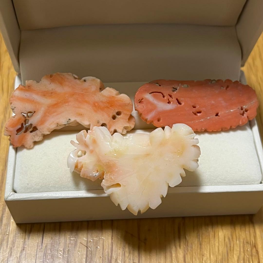 珊瑚アートサンゴ3個セット
